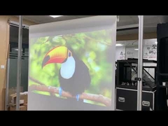 двусторонняя проекционная пленка белая