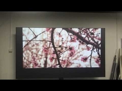 Проекционный экран с подавлением внешнего освещения для 4K домашнего кинотеатра