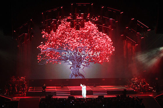 Качество Шоу Холограм 3Д прозрачного голографического полиамида экрана проекции материальное Фабрика