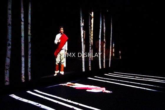 Качество Изготовленное на заказ видео HD основало голографическую систему проекции 3d для представления Hologram Фабрика