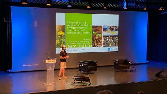 качество большой моторизованный экран проекции 350inch с дистанционным управлением RF Фабрика